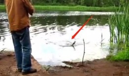 钓鱼爆料视频最新,最新爆料视频带你领略垂钓乐趣与技巧